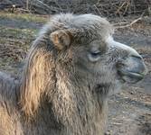 06_tiergarten_im_fruehling