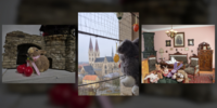 Osterferienaktionen in den Museen der Stadt Halberstadt