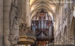 53_dom_st._stephanus_bildautor_m._kasuptke_web.jpg 53_dom_st._stephanus_bildautor_m._kasuptke_web.jpg