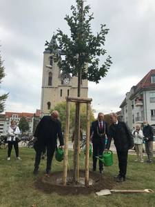 (c) Stadt Halberstadt