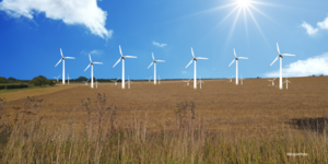 Halberstadt im Aufwind - Beispielbild ©Holger Wegener/Canva Halberstadt im Aufwind - Beispielbild ©Holger Wegener/Canva