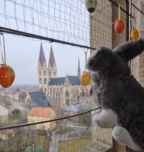 Der Osterhase besucht zu Ostern die Halberst&auml;dter &copy;Städtisches Museum Halberstadt