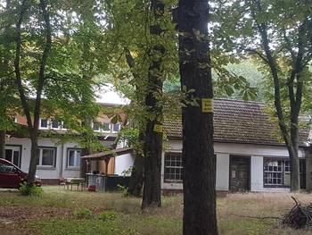 Vor der Klus [(c): Stadt Halberstadt]