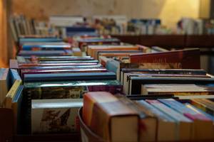[(c): Stadtbibliothek Halberstadt]