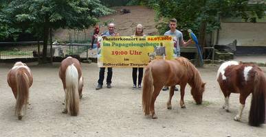 [(c): Annika Wegener/Pressestelle/Stadt Halberstadt]
