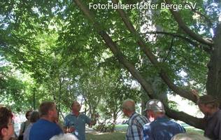 [(c): Stadt Halberstadt]