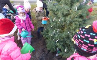 Die Kinder der Kindertagesstätte Pusteblume beim Gießen der Tanne. [(c): Nadine Röhrdanz/stellvertretende Pressereferentin/Stadt Halberstadt]