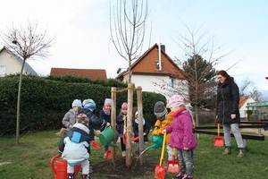 [(c): Stadt Halberstadt/Pressestelle]