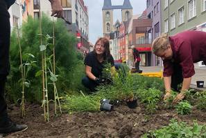 [(c): Stadt Halberstadt]