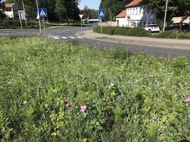 [(c): Stadt Halberstadt/Bereich Stadtgrün/Sauberkeit]