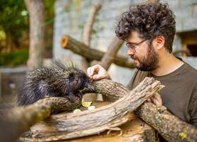 [(c): Tierfotografie Harz]