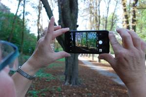 [(c): Tourist Information Halberstadt]