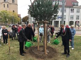 [(c): Stadt Halberstadt/Pressestelle]