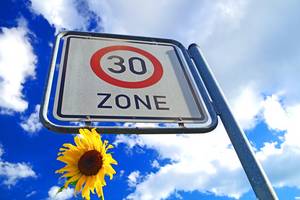 30iger Zone und Sonnenblume [(c): pixabay]