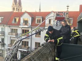 [(c): Stadt Halberstadt/Pressestelle]