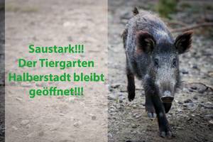 [(c): Tiergarten Halberstadt]