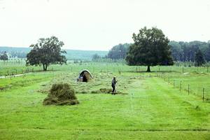Bergwiesen im Harz – Reste einer historischen Kulturlandschaft