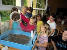 Kleine Forscher im Schachdorf Ströbeck