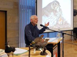 Nestwärme – Was wir von Vögeln lernen können