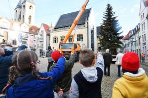 Zwei Weihnachtsbäume für Halberstadt