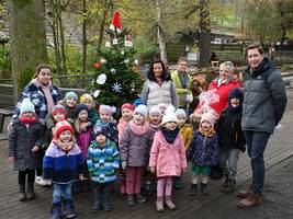 Weihnachtsbaumschmücken im Tiergarten
