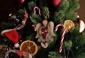 Endlich wieder Advent in der Mühle mit der Kita Kunterbunt