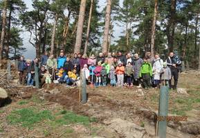 Kinder der Kita Kunterbunt pflanzen 1500 Kieferbäumchen im Osterholz