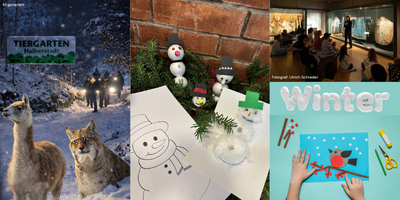 Winterferienangebote &copy;Kulturmarketing, Stadt Halberstadt