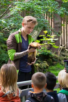 Showfütterung Showfütterung Tiergarten (c) Tierfotogfrafie Harz