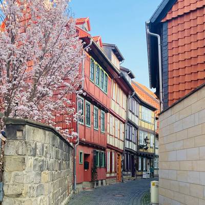 Altstadt_Rosenwinkel_Halberstadt altstadt rosenwinkel nicole huhn