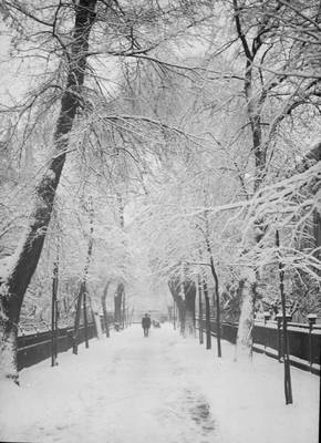 Winterlandschaft Lindenweg, 1920 1930