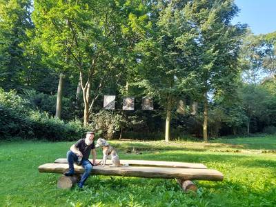 seite 21 spazierg nger vor der installation klein
