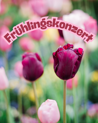 VA Frühlingskonzert