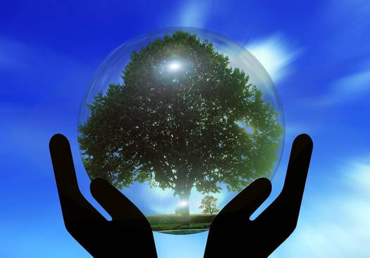 Klimaschutzkonzept © pixabay
