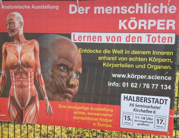 Anatomische Ausstellung "Der menschliche Körper" anatomische Ausstellung
