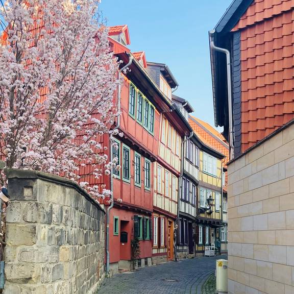 Altstadt_Rosenwinkel_Halberstadt altstadt rosenwinkel nicole huhn