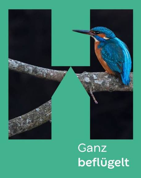 VA Kalender Bild (44)