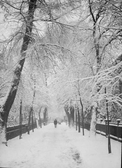 Winterlandschaft Lindenweg, 1920 1930