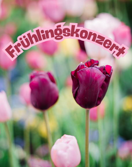 VA Frühlingskonzert