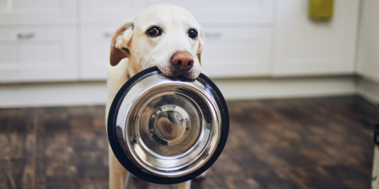 Geld- und Sachspenden &copy; Canva