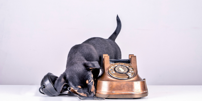 Kontakt/Öffnungszeiten &copy; Canva