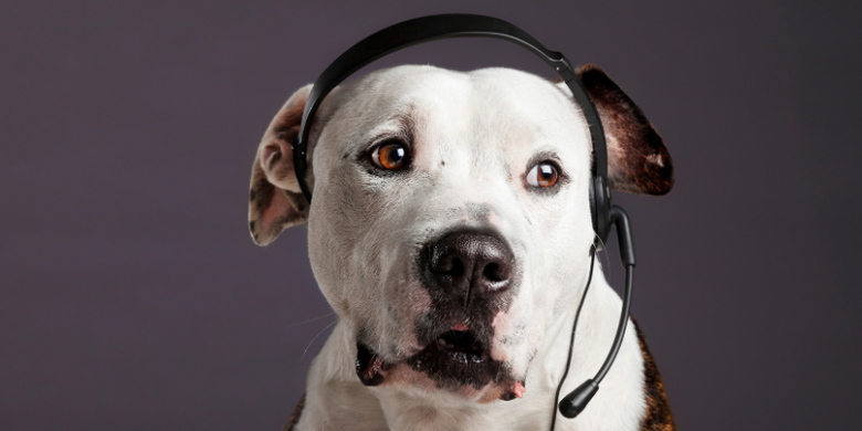 Vermittlung &copy; Canva