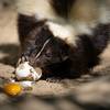 Frühstück im Tiergarten