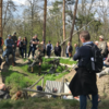 Frühlingserwachen und Geschichte erleben