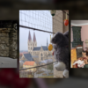 Osterferienaktionen in den Museen der Stadt Halberstadt
