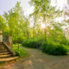 Natur und Genuss in den Spiegelsbergen