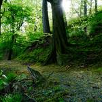 Halberstadt Spiegelsberge © Stefan Herfurth