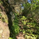 Himmelstreppe © Rosi Hutfilz