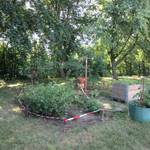 KITA Sonnenschein Garten © Stadt Halberstadt