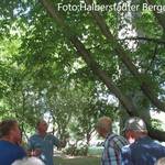 [(c): Stadt Halberstadt]